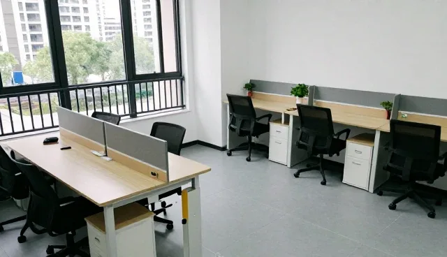 科学使用宠物玩具 提升宠物生活质量
